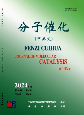 分子催化(中英文)封面